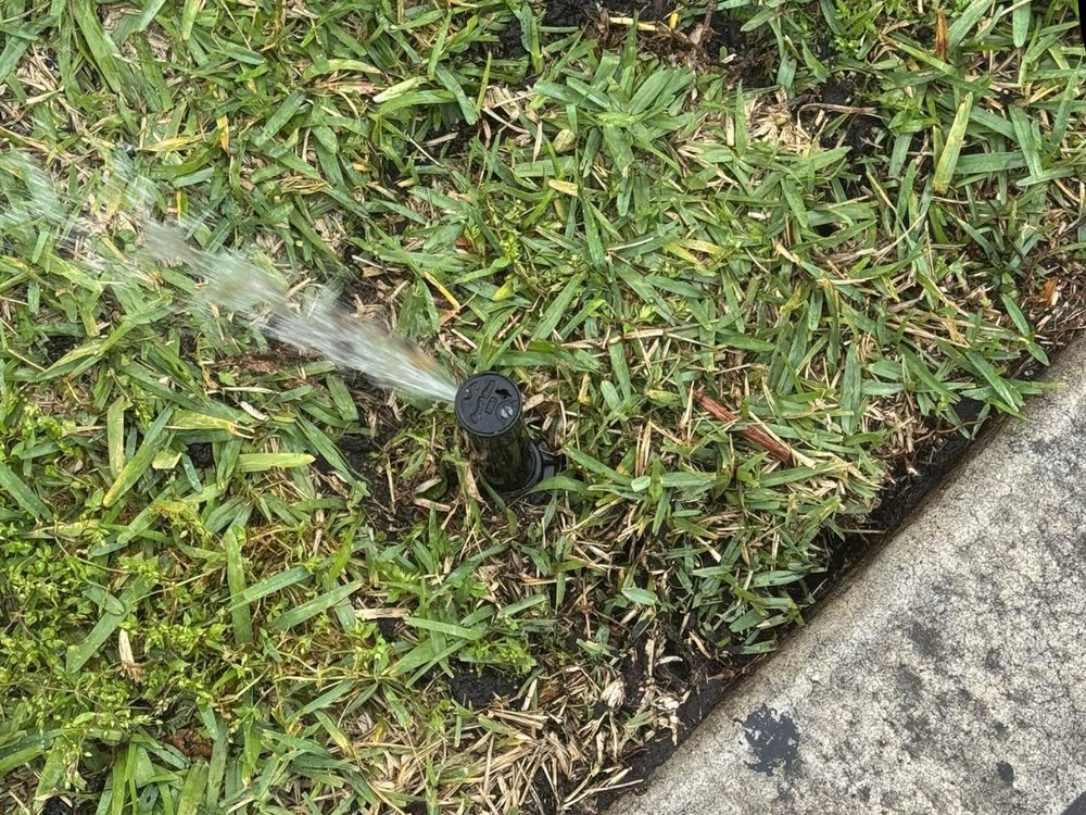 Rotor head spraying across St. Augustine grass beside a concrete curb