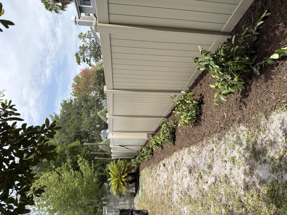 Newly planted shrub bed with fresh mulch along a fence